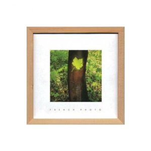 French Photography tHgA[g Maple Leaf ZFP-51914