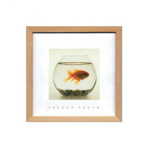 French Photography tHgA[g Fish in his Bowl ZFP-51921
