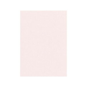 PAPER PALETTE(y[p[pbg)@B5ⳁ@tFU[c@@100@1706549