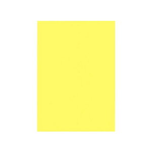 PAPER PALETTE(y[p[pbg)@B5ⳁ@}[Ch@Ђ܂@100@1737364