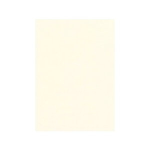 PAPER PALETTE(y[p[pbg) B5 ]ˏ ͂  100 1727024