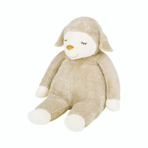 Ԃ͂Ɓ@Ђ̃Cv@܂BIG@bv@48121-13