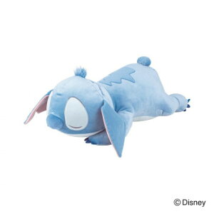 Ԃ͂Ɓ@`nO(fBYj[)@ D910@܂L@XeBb`@30109-28