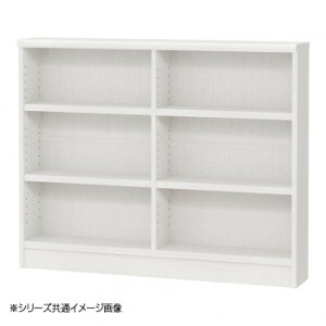 TAIYO OWR I[_[ChbN 9095X zCgEbh(WW)