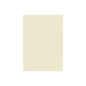 PAPER PALETTE(y[p[pbg)@|XgJ[h@pp[@i`@100@1716522