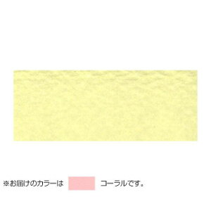 PAPER PALETTE(y[p[pbg)@|XgJ[h@}[Ch@R[@100@1744326