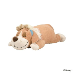 Ԃ͂Ɓ@`nO(fBYj[)@ D910@܂L@ii@80106-26