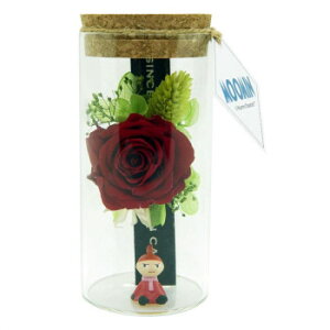 MOOMIN ���[�~���O���X���[�Y ���g���~�C KC-5195