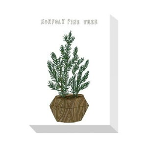 Home Plants NORFOLK PINE TREE �A�[�g�p�l�� ZPA-53546