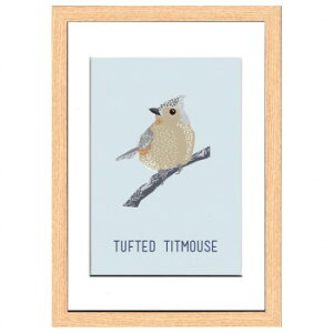 North Birds Tufted Titmouse �A�[�g�p�l�� ZNB-53431