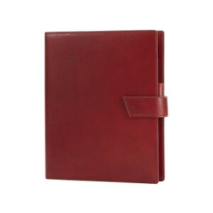 ASHFORD �A�V���t�H�[�h �V�X�e���蒠 �X�g���[�_ A5 19mm hock ���C�� 3101-048