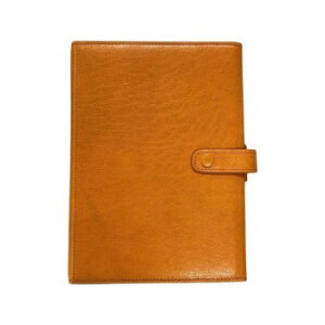ASHFORD �A�V���t�H�[�h �w���e�C�W BIBLE 25mm �R�[�`�}�� ���X�^ 7273-033