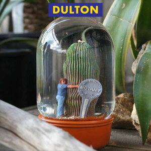 �_���g�� �v�����c �E�H�[�^�[ �O���[�u �J�N�^�X �E�B�Y ����PLANTS WATER GLOBE CACTUS WITH MAN dulton �A�����J���G��
