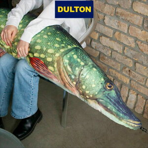 �_���g�� �t�B�b�V�[�Y �p�C�N 195 �G�݁@�C���e���A FISHES PIKE 195 DULTON ������� �l�C ��������