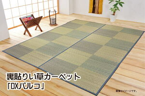 ԂJ[ybg wDxpR\CPx ]ˊ8(348×352cm) (:sDzj