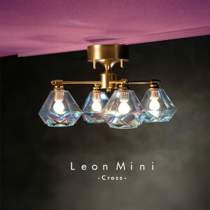 V[OCg 4 KX LEDΉ  킢 Lb` _CjO  Ki gC ʏ Leon mini Cross I~j NXORRBI