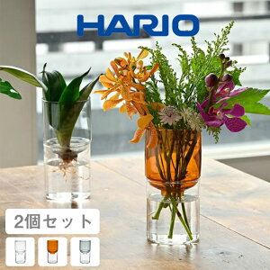 (�Z�b�g���i) 2�F�I�ׂ� �n���I�T�C�G���X �K���X�� �ԕr �Ԋ� �t�����[�x�[�X �ԑ� �C���e���A �K���X�H�| �ԑ��� �������� �ԃA�����W�����g �i�`������ �������