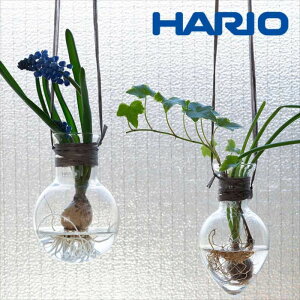 HARIO bNX ݂艺ԕr ^܂yaCeAz i`  KXHARIO RELAXING