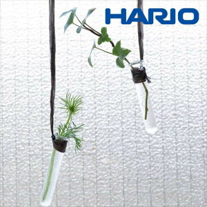HARIO bNX ݂艺ԕr KX  A fBXvC  芴 i`  KXHARIO RELAXING