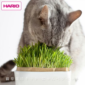 ハリオ 猫草栽培キット にゃんベジ セットN おしゃれ 人気