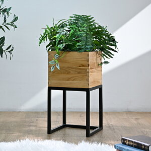 `[N@v^[{bNXTt[^ t[X^h ؐ  VRf rO [ xbhTCh 28cm 52cm