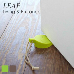 hAXgbp[ [t CgO[ G  lC