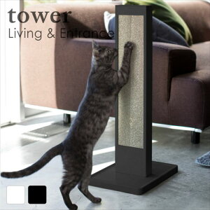 L̒܂ƂX^h ^[ zCg ubN G  lC