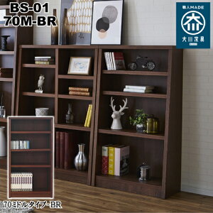 �����i�őg���s�v�I��������ƈ��肵�� ���Y�u�b�N�V�F���t 70M�i70�~�h���^�C�v�j�@�i�� : BS-01