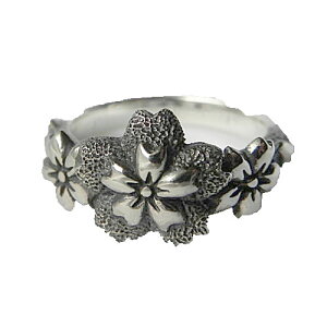 O ̎w jpO Vo[O aO fB[XO nhCh w { uhCyauktnz  YOUNG zone