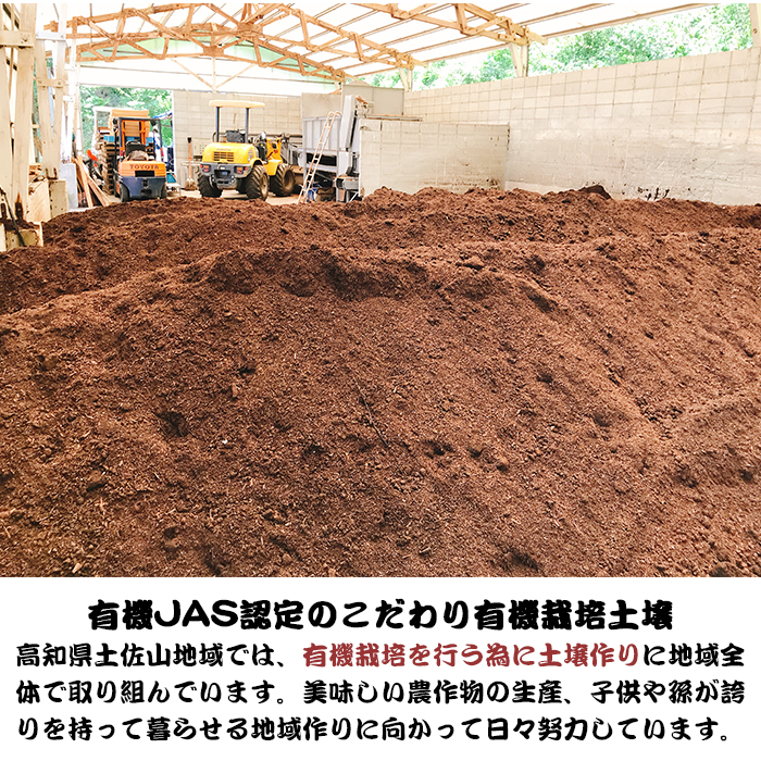 高知県 土佐山 有機JAS認定 無農薬 乾燥 にんにく 5kg ｜ 国産 オーガニック ニンニク 大蒜