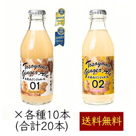 土佐山ジンジャーエール 飲み比べ 2MIX 200ml／本 20本《メーカー直送》【 送料無料 】（マツコの知らない世界で紹介 iTQi星2つ獲得 無添加 瓶 01 辛口 02 マイルド 甘口 ） ジンジャーエール ジンジャエール GingerAle 有機 無農薬 しょうが ショウガ 高知県