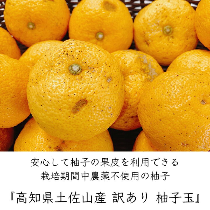 楽天市場 訳あり 栽培期間中農薬不使用のゆず 柚子玉 1kg 約10 17個 産地直送 22年度 予約受付中 12 14から順次発送 季節限定 ご家庭用 高知 高知県 土佐山産 ゆず 柚子 柚 ユズ Yuzu 柚子玉 生 皮 器 玉 ゆず湯 柚子風呂 生姜柚子の専門店 土佐山マルシェ