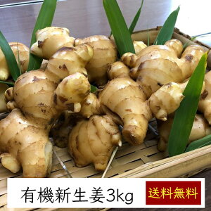 myRY L@JASF _ tbVI 3kgsYn 2023Nx ̔tyziGߌ NHKE͂قmɂӂĂɓoꂵ܂j Y m I[KjbN L@ 