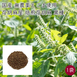  1000~|bL `Ӗ `Ӗ `Ӗ̎  1 60g^܁s[J[tylR|Xzzi _ j VQY Y `Ӗ  GS}   |Cg