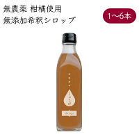 【 送料無料 無農薬 柚子 使用 】 無添加 ジンジャーゆずシロップ 4倍希釈 ドリンク 1本 300ml/本（ 高知 高知県 岡林農園 柚 ゆず ユズ yuzu 生姜 しょうが ショウガ 姜 シロップ syrup 希釈 ）