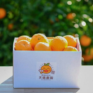 V_ |J TCYIsYn 2026Nx 1{珇ty kCꗣz Y QY ۂ񂩂  ʊ