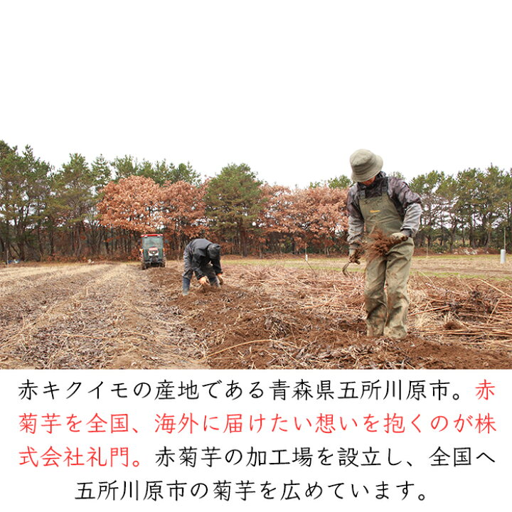 楽天市場】国産 訳あり 無農薬 赤菊芋 《産地直送 2024-25年度 販売中 