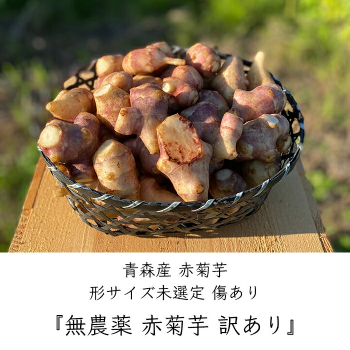 楽天市場】国産 訳あり 無農薬 赤菊芋 《産地直送 2024-25年度 販売中 