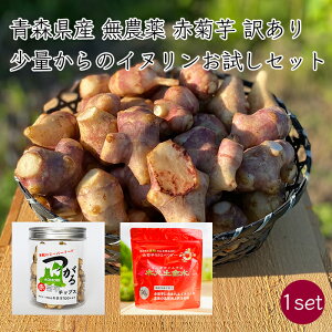 y  ԋeZbgz󂠂 _ ԋe / e`bvX / epE_[sYn 25-26Nx 12{珇ty ꗣzi w엿sgp Ck