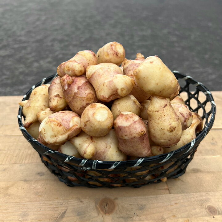楽天市場】国産 訳あり 無農薬 赤菊芋 小粒 《産地直送》【送料無料 