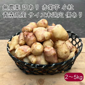 国産 訳あり 無農薬 赤菊芋 小粒 《産地直送 2024-25年度 販売中》【送料無料 沖縄離島を除く】（ 化学肥料不使用 イヌリン 形大きさ不揃い サイズ未選定 傷あり ） 青森県 青森 礼門 菊芋 きくいも キクイモ いぬりん