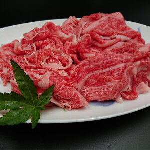 y J[ ϕ ǂ  zm{Y ꋍ ؂藎Ƃ  o Jr 150g^pbN ⓀsYn N[ Ⓚty kCꗣziꌧYj Y  