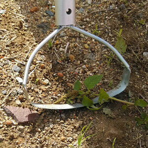 LEz[ 菜 Qz[ 17cm t P045-BEAs[J[tyzi G΍  @  _@ _@ j G ΍ ƒp 蓮 ^ kC イف[ L[z[ 