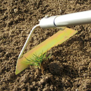 LEz[ 菜 z[F 21cm z[ F21 t P045-GEAs[J[tyzi G΍  @  _@ _@ j G ΍ ƒp 蓮 ^ kC イف[ L