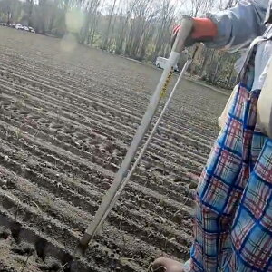 LEz[ ʂ˂A@ A~ P047-Bs[J[tyzi ʂ˂ ʔK A _@ _@ A~ j A At A cڐA ڐA@ At c cA y  蓮 