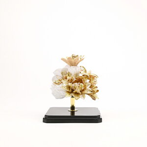 y  dp  bL zF inorica V[g e^ P[Xts[J[ty Y El  i ẑ肩   d d   ~j ~j
