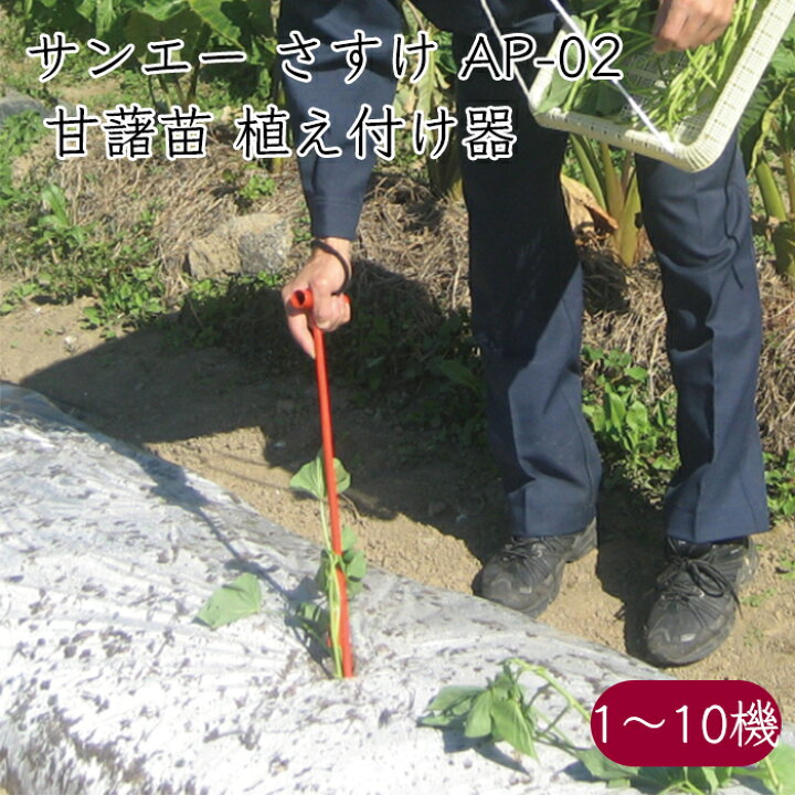 楽天市場】サンエー 甘藷苗 植え付け器 さすけ AP-02《メーカー直送 