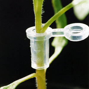 iXjbNX ڂ؃Nbv X[p[EBYs[J[ty ꗣzڂ ږ   Nbv  Ȗ Ȗ، Ȃɂ nasunics c c _ 