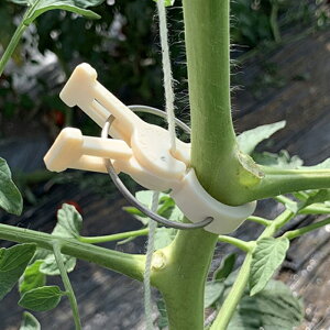 iXjbNX UNbv q g}g a19.0mms[J[ty ꗣzU 䂤 Nbv   Ƃ܂ ͔|U U Ȗ Ȗ، Ȃ