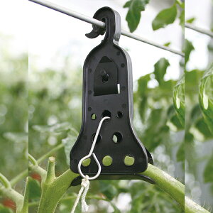 �i�X�j�b�N�X U�^�[���͔|�p�U���� U�qII�s���[�J�[�����t�y�������� ���ꗣ���������zU�q2 U�^�[�� �͔|�U���� �͔|�p �U���� �U�� �䂤���� �N���b�v ������� �Ȗ� �Ȗ،� �Ȃ��ɂ����� nas